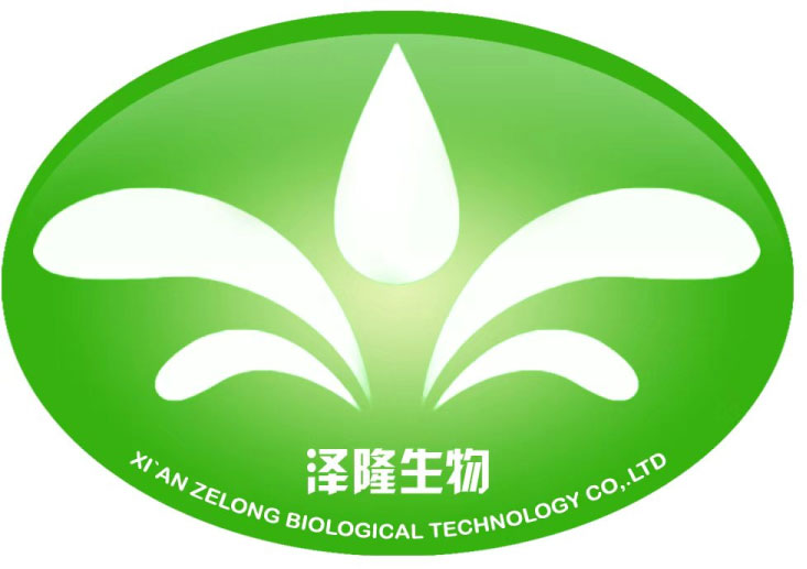 logo exhibition